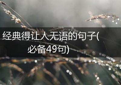 经典得让人无语的句子(必备49句)