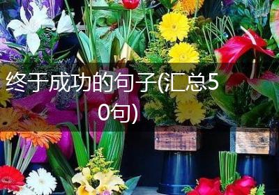 终于成功的句子(汇总50句)