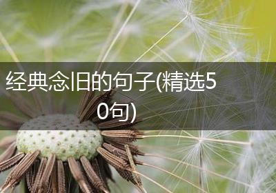 经典念旧的句子(精选50句)