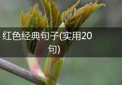 红色经典句子(实用20句)