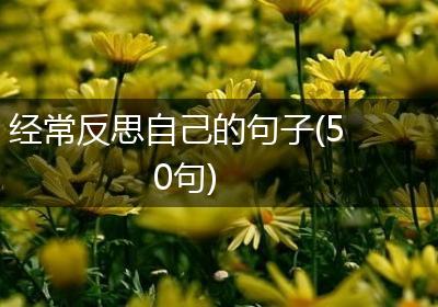 经常反思自己的句子(50句)