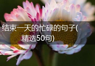 结束一天的忙碌的句子(精选50句)