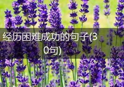经历困难成功的句子(30句)