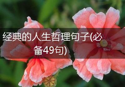 经典的人生哲理句子(必备49句)