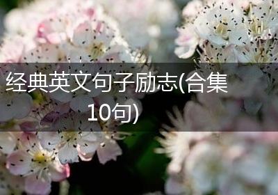 经典英文句子励志(合集10句)