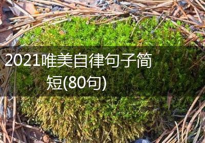 2021唯美自律句子简短(80句)