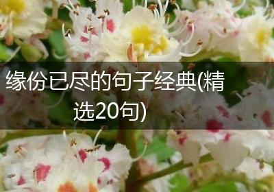 缘份已尽的句子经典(精选20句)
