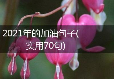 2021年的加油句子(实用70句)