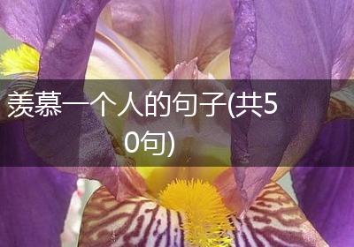 羡慕一个人的句子(共50句)