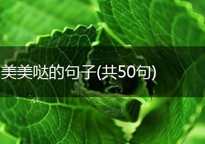 美美哒的句子(共50句)