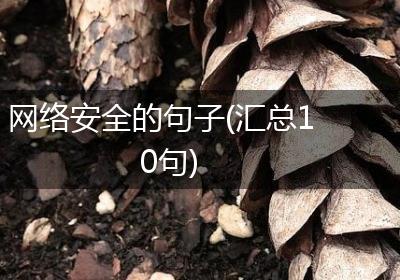 网络安全的句子(汇总10句)