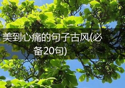 美到心痛的句子古风(必备20句)