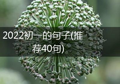 2022初一的句子(推荐40句)