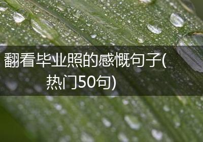 翻看毕业照的感慨句子(热门50句)