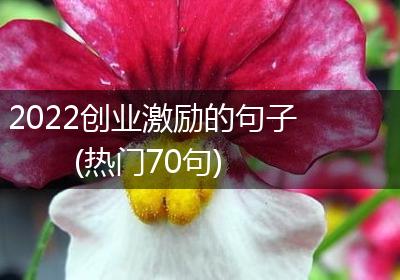 2022创业激励的句子(热门70句)