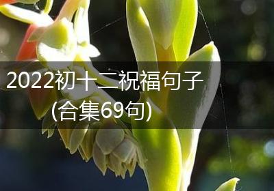 2022初十二祝福句子(合集69句)