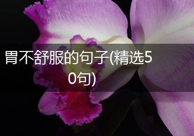 胃不舒服的句子(精选50句)