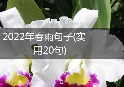 2022年春雨句子(实用20句)
