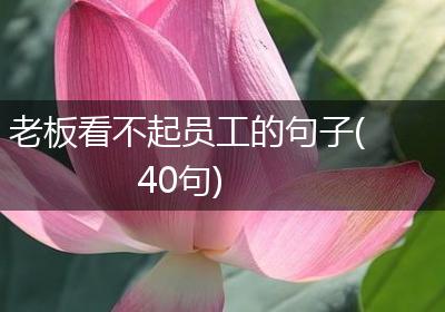 老板看不起员工的句子(40句)
