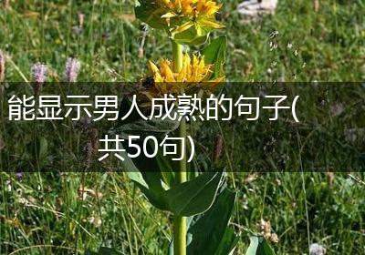能显示男人成熟的句子(共50句)