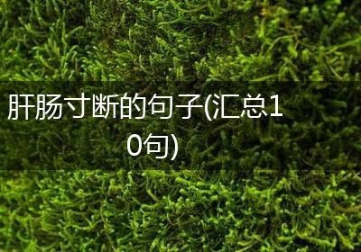 肝肠寸断的句子(汇总10句)