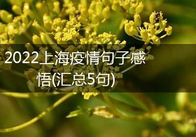 2022上海疫情句子感悟(汇总5句)