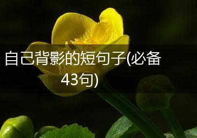 自己背影的短句子(必备43句)