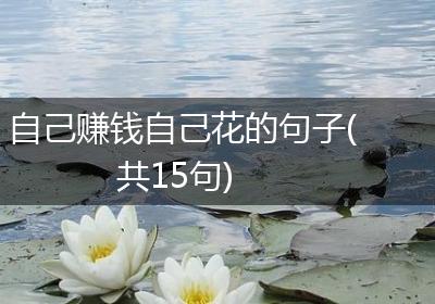 自己赚钱自己花的句子(共15句)