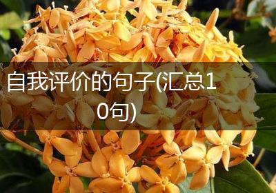 自我评价的句子(汇总10句)