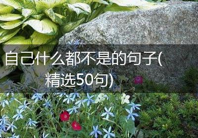 自己什么都不是的句子(精选50句)