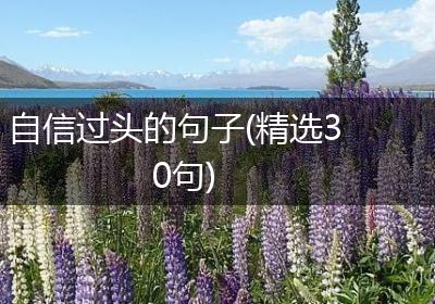 自信过头的句子(精选30句)
