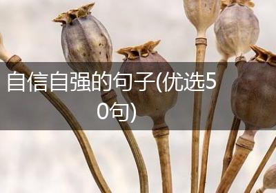 自信自强的句子(优选50句)