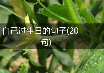 自己过生日的句子(20句)