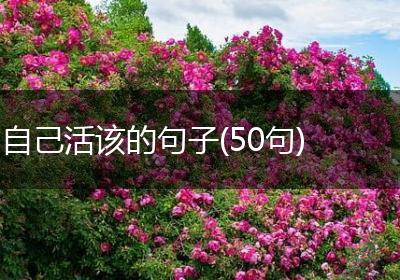 自己活该的句子(50句)