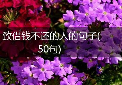 致借钱不还的人的句子(50句)