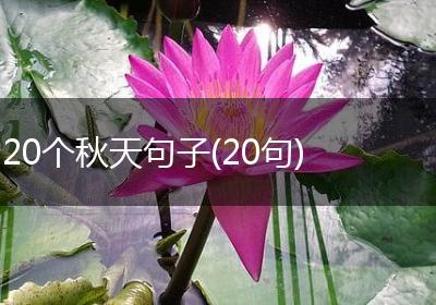 20个秋天句子(20句)