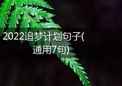 2022追梦计划句子(通用7句)