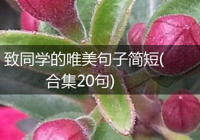 致同学的唯美句子简短(合集20句)