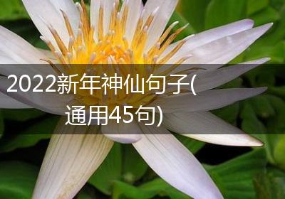 2022新年神仙句子(通用45句)