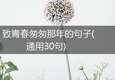 致青春匆匆那年的句子(通用30句)