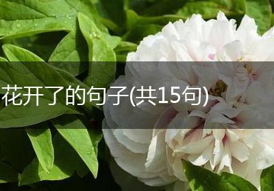 花开了的句子(共15句)