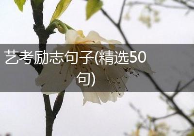 艺考励志句子(精选50句)