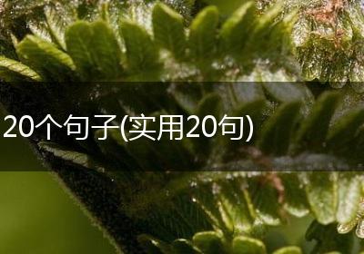 20个句子(实用20句)