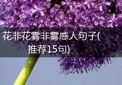 花非花雾非雾感人句子(推荐15句)