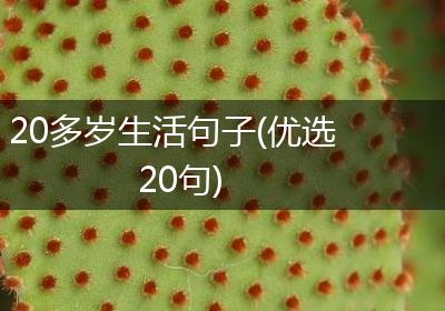 20多岁生活句子(优选20句)