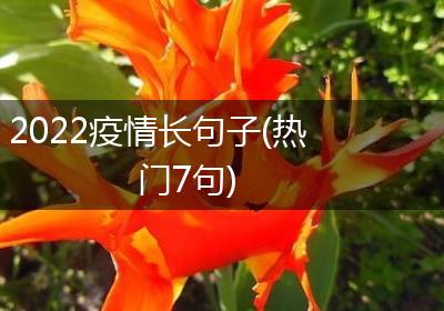 2022疫情长句子(热门7句)