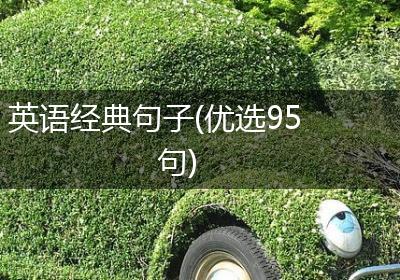 英语经典句子(优选95句)