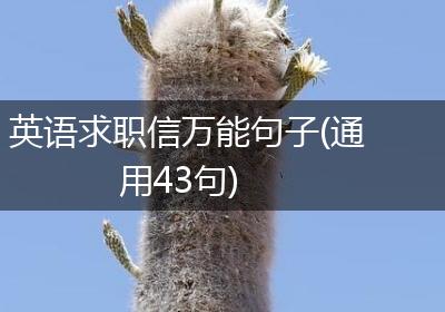 英语求职信万能句子(通用43句)