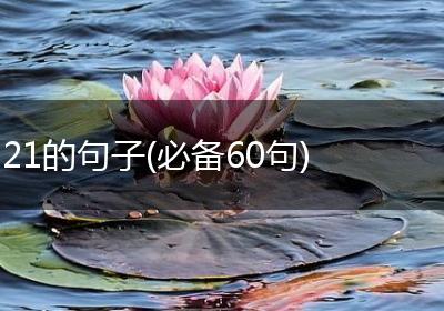 21的句子(必备60句)