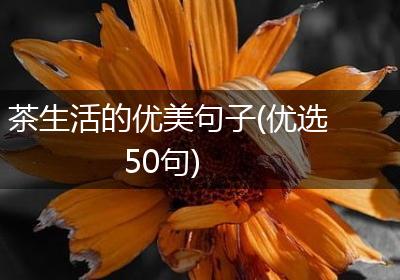 茶生活的优美句子(优选50句)